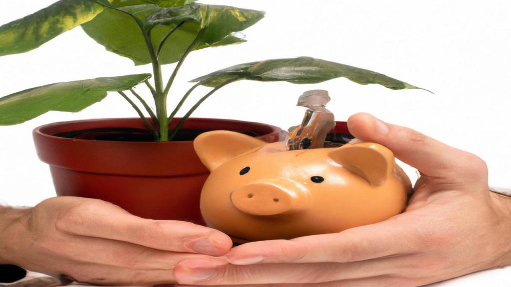 W co zainwestować 50 tyś?